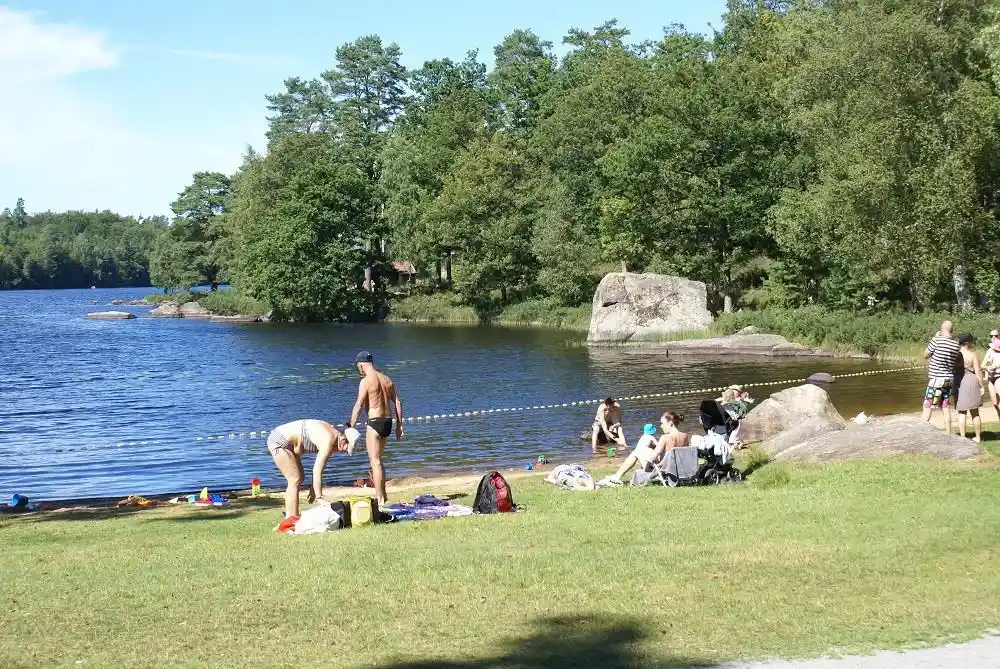 En naturskön utsikt över en sjö omgiven av grönskande skog på Långasjönäs Camping & Stugby, med lugnt vatten som inbjuder till friluftsliv och avkopplande semester.