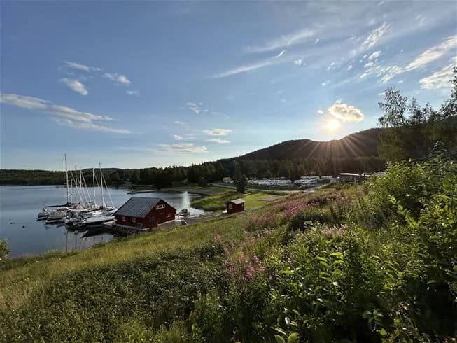 En lugn sjö omgiven av grönskande landskap och växtlighet, med en båt förtöjd vid stranden, placerad vid Skuleberget Havscamping.