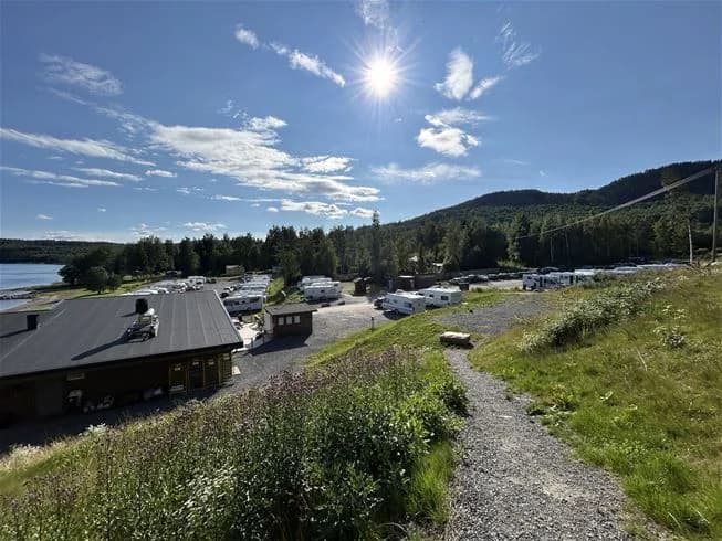 Bilden visar en naturskön campingplats vid Skuleberget havscamping, omgiven av träd och frodig grönska. I bakgrunden skymtar öppna fält och lugna, vackra landskap som bjuder på en rogivande utsikt.