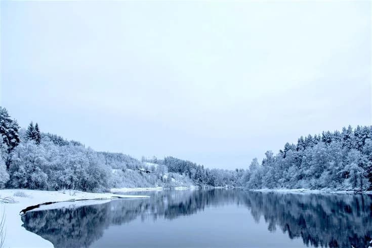 En vintrig landskapsbild vid Björkebo Camping med en stilla, blå sjö omgiven av snötäckta trädgrenar och molntäckt himmel.