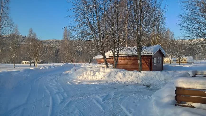 En snötäckt stuga omgiven av trädgrenar på Björkebo Camping under vintertid.