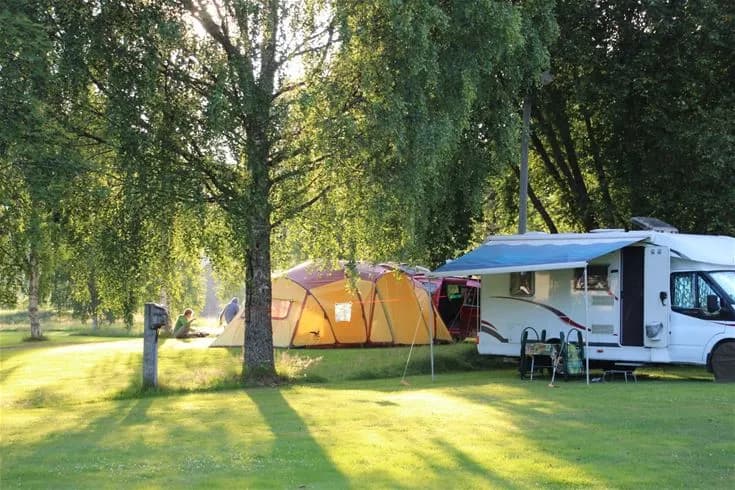 En grön campingplats med tält och husvagnar under skuggande träd, del av Björkebo camping.