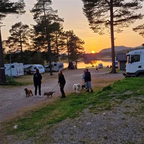 En campingplats vid Sonfjällscampen i kvällsskymning, med tält uppställda och en avkopplande atmosfär i naturen.