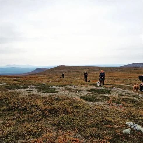 Vy över det öppna gräslandskapet vid Sonfjällscampen, med milda kullar och en klar himmel i bakgrunden.