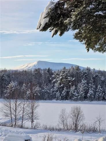 En vintrig landskapsscen vid Sonfjällscampen, med snötäckta trädgrenar och ett vinterlandskap i bakgrunden.