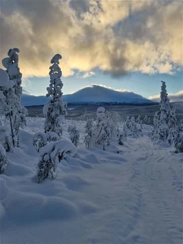 En snöklädd vinterlandskap vid Sonfjällscampen, med en klar himmel och soluppgångsbelysning som lyser upp sluttningarna.