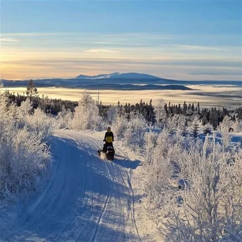 En vinterlandskapsscen vid Sonfjällscampen med snöklädda träd, snöskoterspåren synliga över den vita marken, omgiven av glaciärliknande formationer och sluttningar.