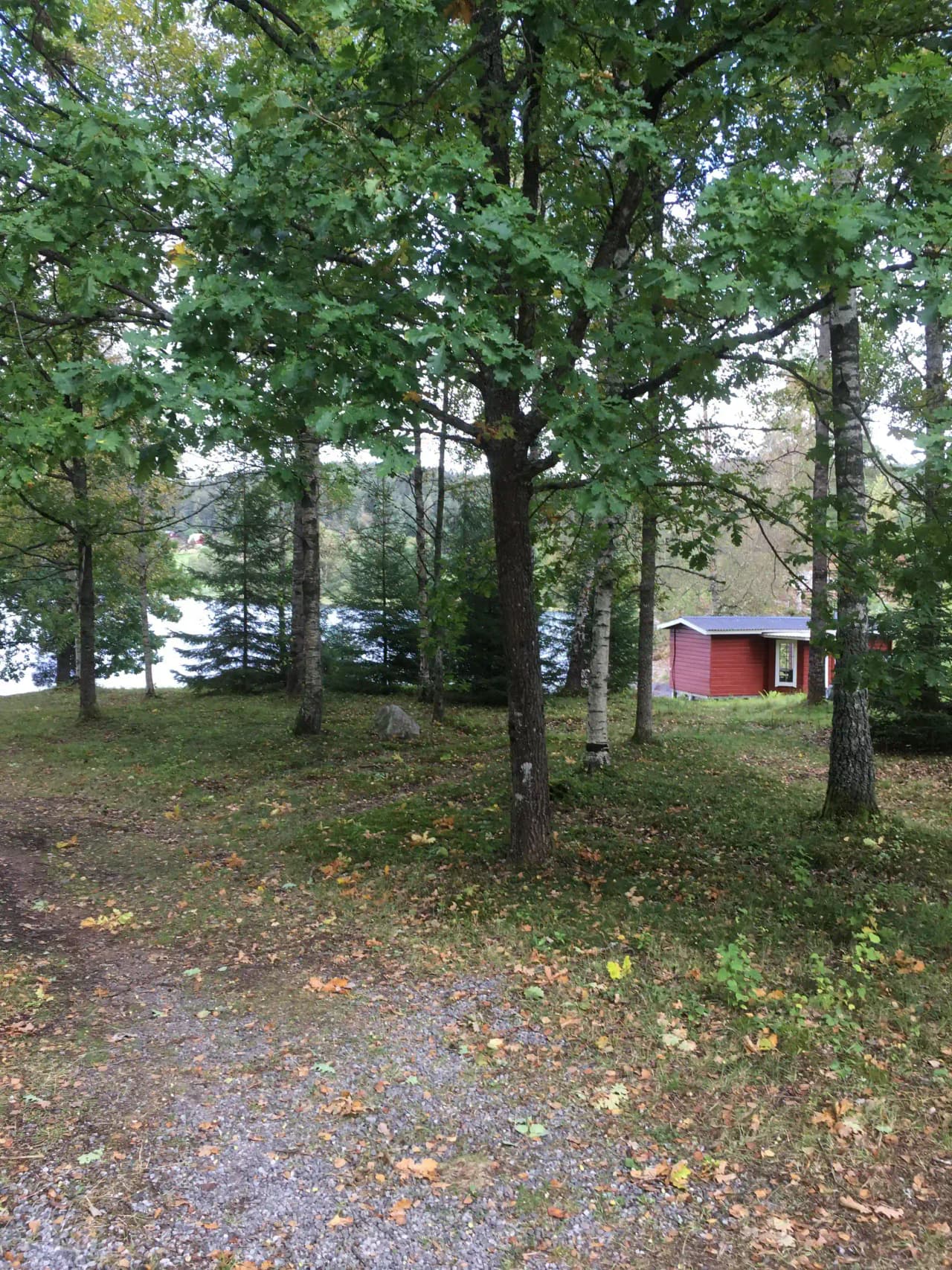 En grönskande campingplats omgiven av lövträd och skog, där solen skapar skuggor på den välskötta gräsmattan.