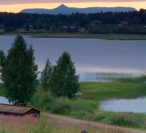 En lugn vattenyta omgiven av frodig grönska och våtmarker på Särna camping.