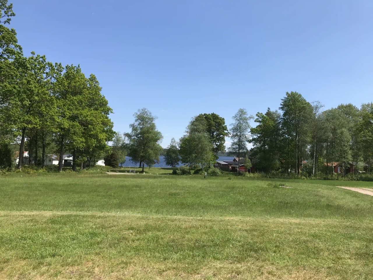 En grön campingplats omgiven av gräs och träd i dagsljus, med en naturlig och lummig miljö.