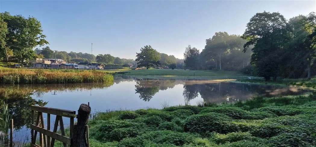 En lugn sjö omgiven av frodig grönska, med träd som speglas i vattnet vid Grottbyns camping.