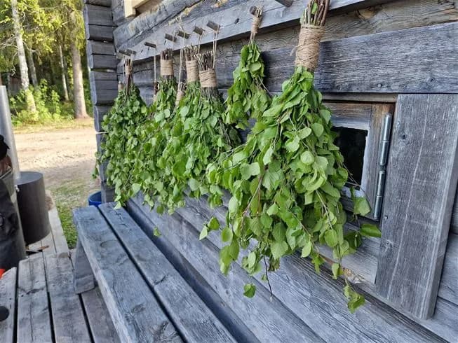 En idyllisk utomhusmiljö vid Kukkolaforsen Turist & Konferens, med plankor av naturmaterial som leder genom grönskande vinrankor och örter.
