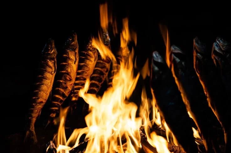 En närbild av en brasa med flammor i gula och orangea nyanser, trä och kol syns tydligt. Bakgrunden är mörk.