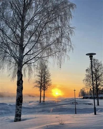 En snöklädd landskapsscen vid Kukkolaforsen under vintertid, med grenar i förgrunden och en gryning- eller skymninghimmel i bakgrunden.