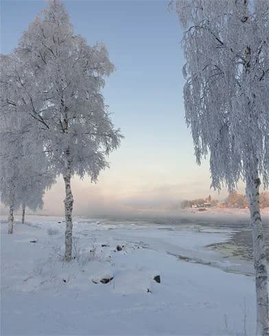 En vinterlandskap vid Kukkolaforsen turist & konferens, täckt av snö och frostiga grenar under en kylig morgon.