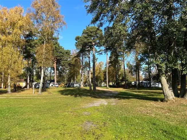 En grönskande campingplats med stora träd som skuggar gräsmattan. En familjebil är parkerad nära ett tält, och omgivningen ger en avkopplande naturkänsla.