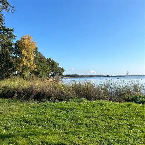 En grönskande campingplats med frodig vegetation och välskött gräs omgiven av blå himmel.
