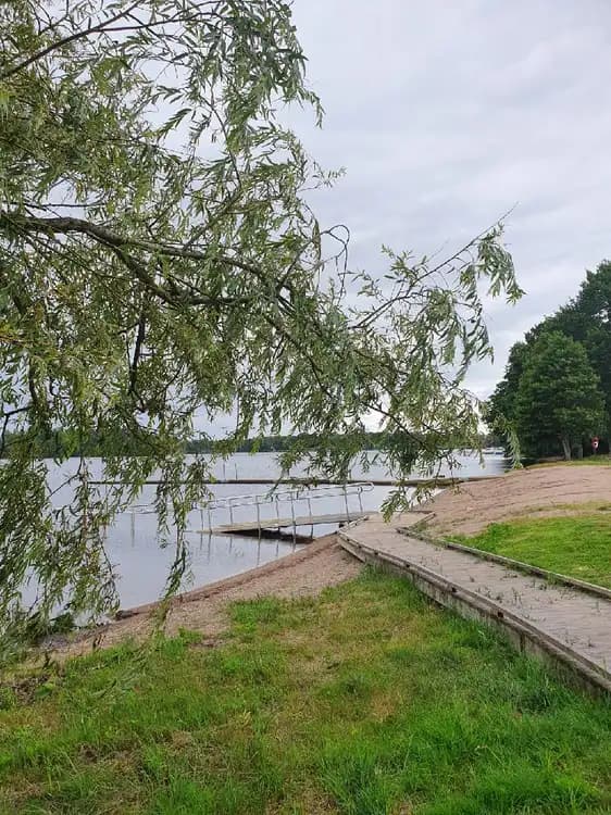 En grönskande park vid en stig omgiven av träd och gräs, nära en strand.