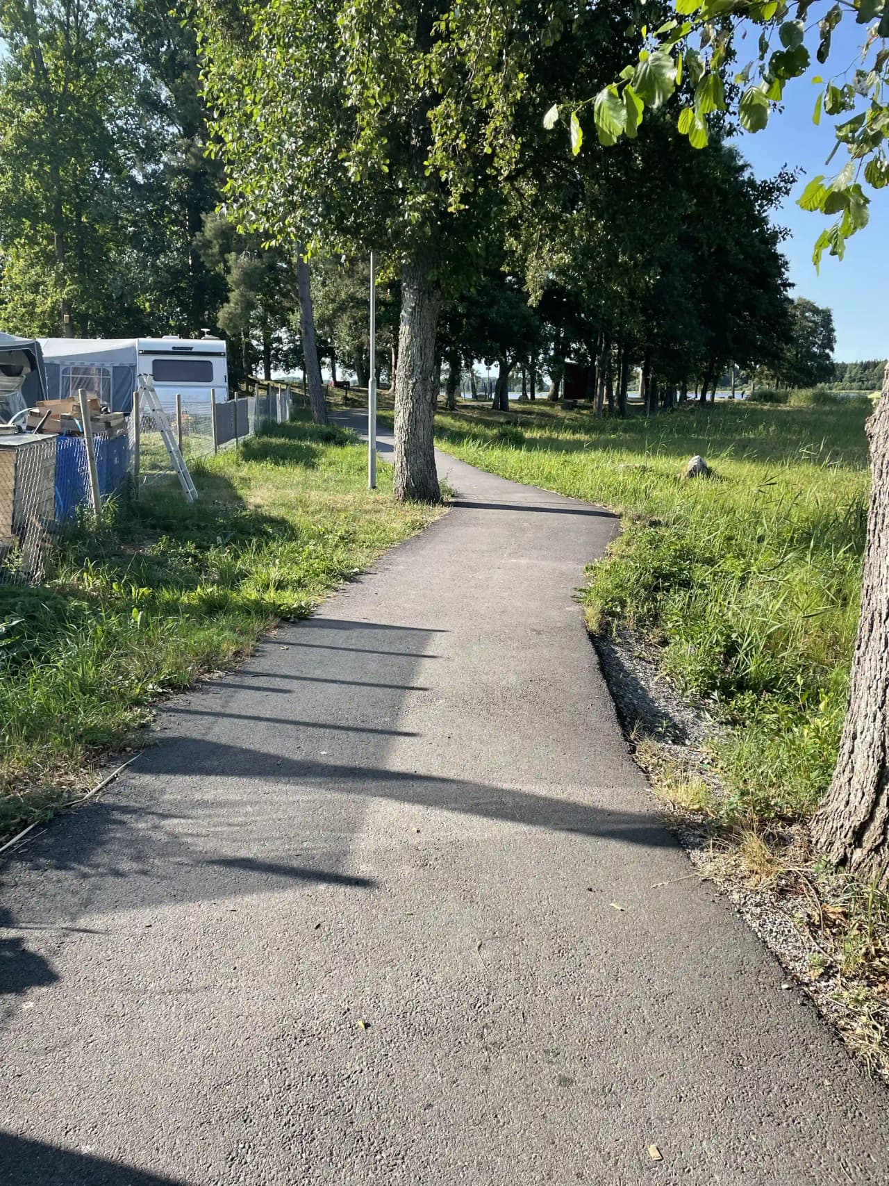 En asfalterad väg kantad av gräs och skuggade gångvägar, som leder genom ett naturskönt campingområde på Prästryggens camping.