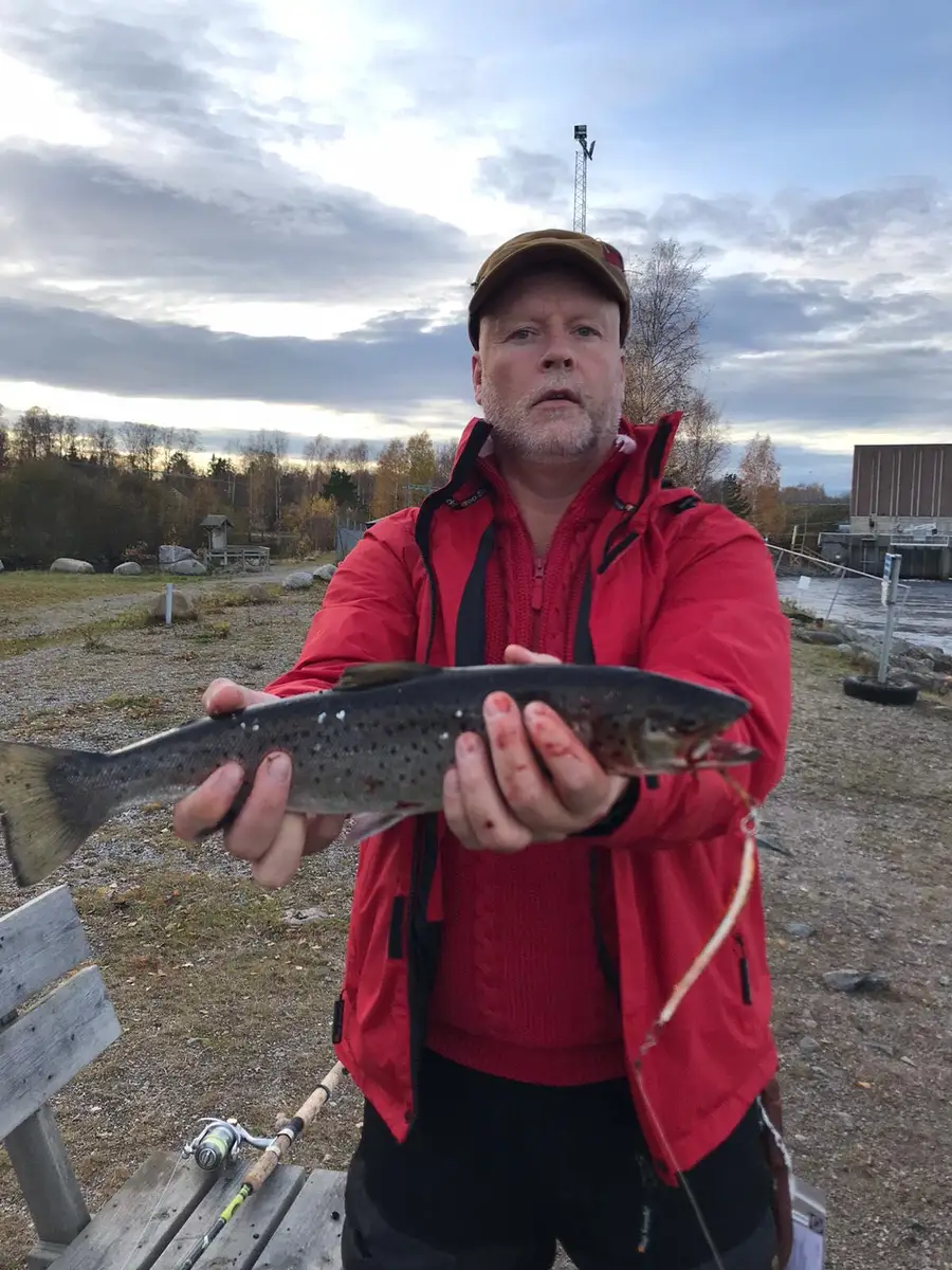 En fiskare vid Ljusnefors camping håller upp en fångst av en stor fisk, omgiven av grönskande natur och vatten.