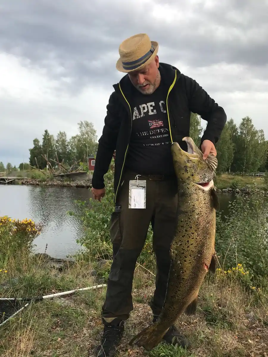 En person fiskar vid Ljusnefors camping med ett fiskespö, omgiven av naturskön miljö.