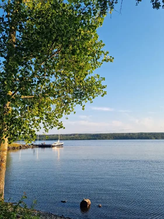 En somrig vy över en klarblå vattenspegel omgiven av grönska med himlen i horisonten, som kan ses från Trångsvikens bygdegård.