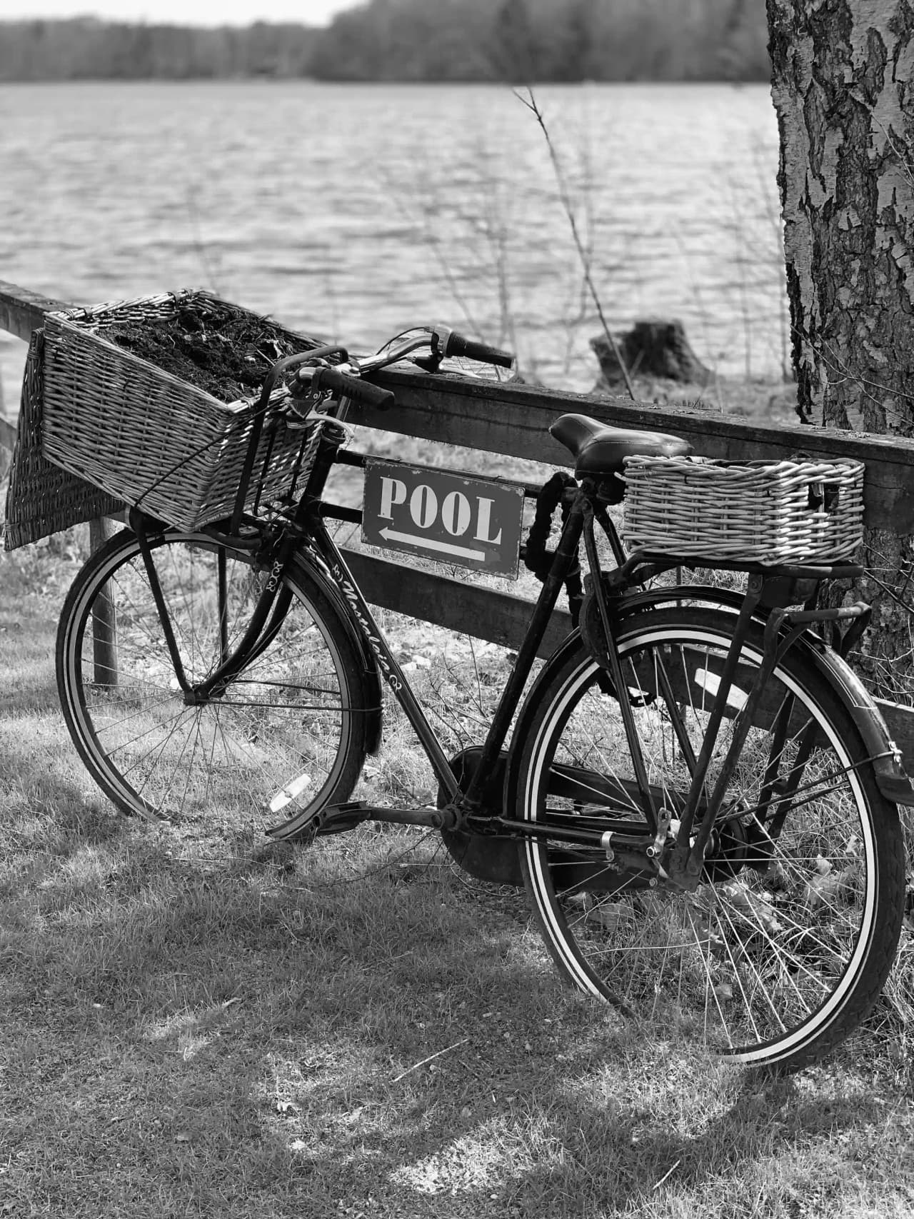 En cykel med en korg framtill står parkerad mot en trävägg vid besöksmålet "Den sovande älgen". Cykeln har synliga komponenter som hjul, ram och styre.