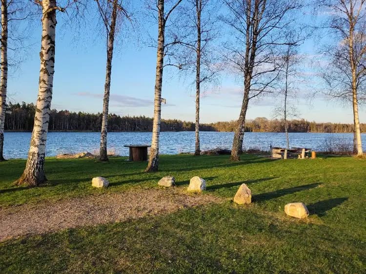 En stilla sjö på morgonen med klarblått vatten omgiven av natur. En del av sjöbanken och en trädstam syns i förgrunden, vilket ger en känsla av lugn och fridfullhet i landskapet.