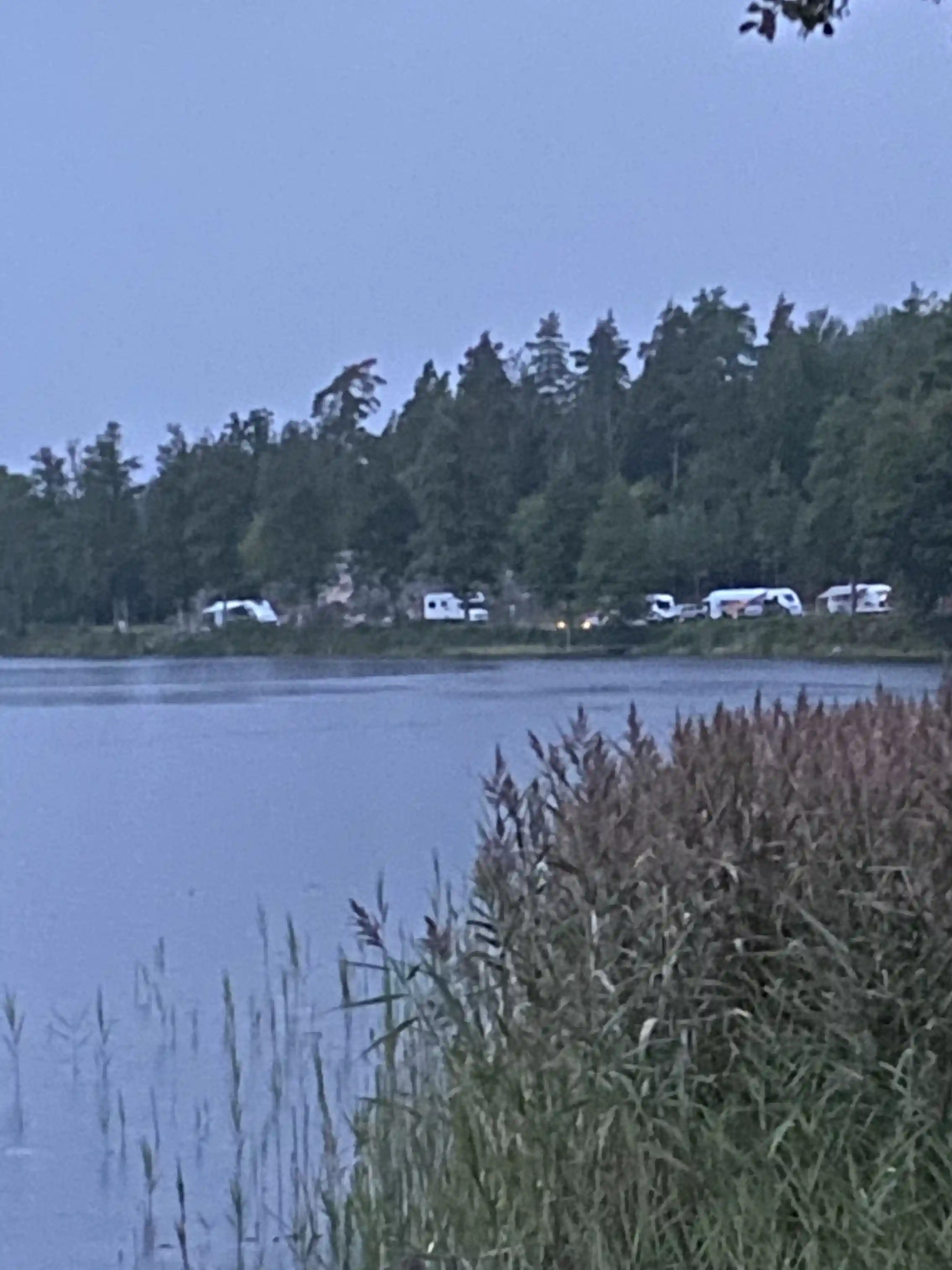 En lugn sjö omgiven av gröna våtmarker vid Ljuvadal camping & ställplats, reflekterande en klar himmel.
