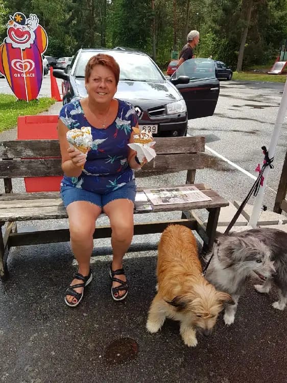 En söt, liten hund kopplad med ett koppel står på gräs vid Hätte camping, omgiven av gröna träd och tält som bakgrund.