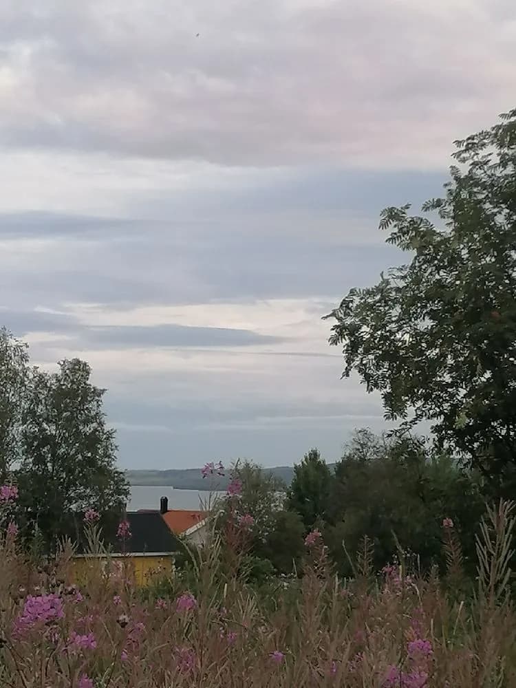 En vidsträckt naturvy vid Ångsta Camping med klar himmel, vita moln och gräsmark omgiven av buskage.