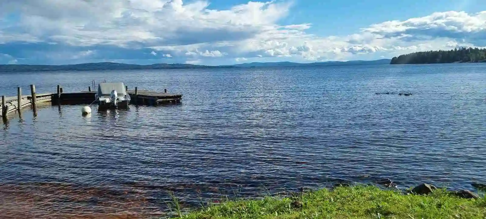En vy över en naturskön sjö med klarblå himmel och vita moln i bakgrunden, omgiven av grönskande landskap vid Vikarbygården.