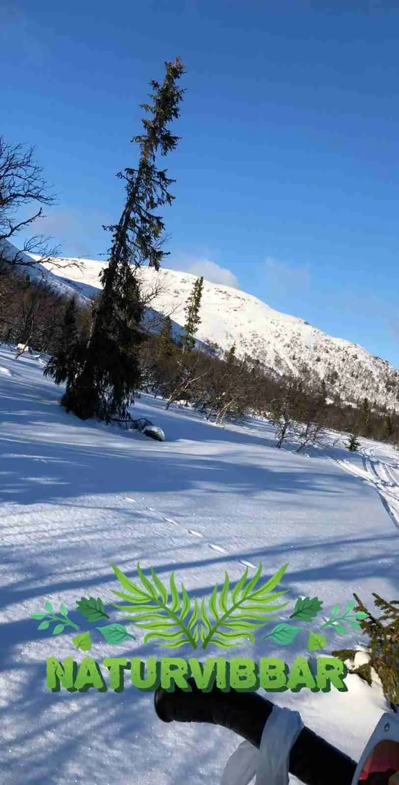 En snötäckt sportcamping vid Åkersjön omgiven av vinterlandskap med bergskedjor, is och tallar. Skidbackar och glaciärformationer syns i bakgrunden.