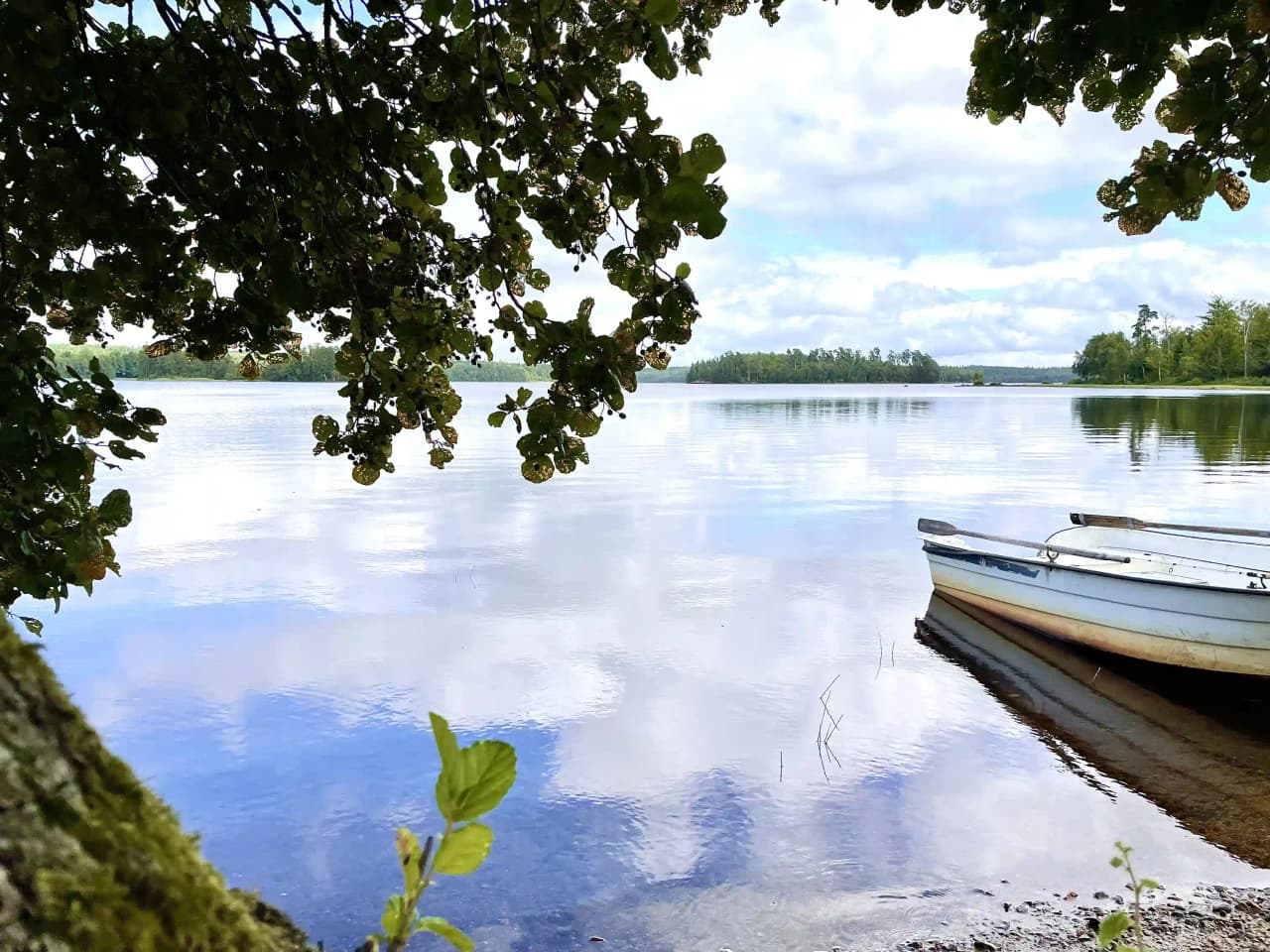 Upplev en rogivande camping vid sjö och skog på Bexet Camping, där natur och äventyr möts harmoniskt!