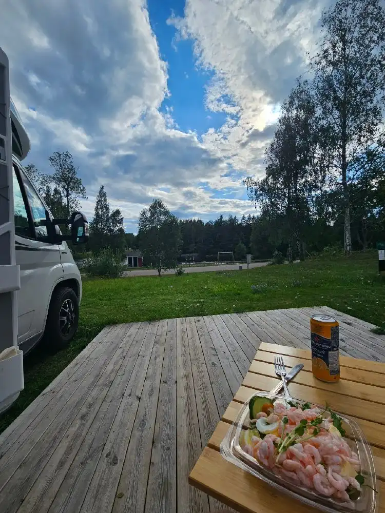 En skuggig picknickplats med bänkar och bord i naturmiljö på Broakulla ställplats & camping.