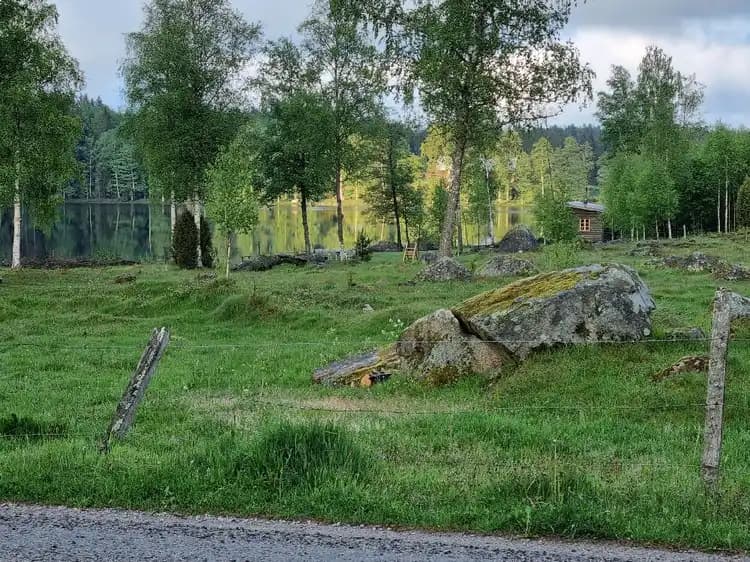 En grönskande äng omgiven av träd och buskar i en naturlig miljö, med synliga trädstammar och gräsbevuxen mark under en klar himmel.