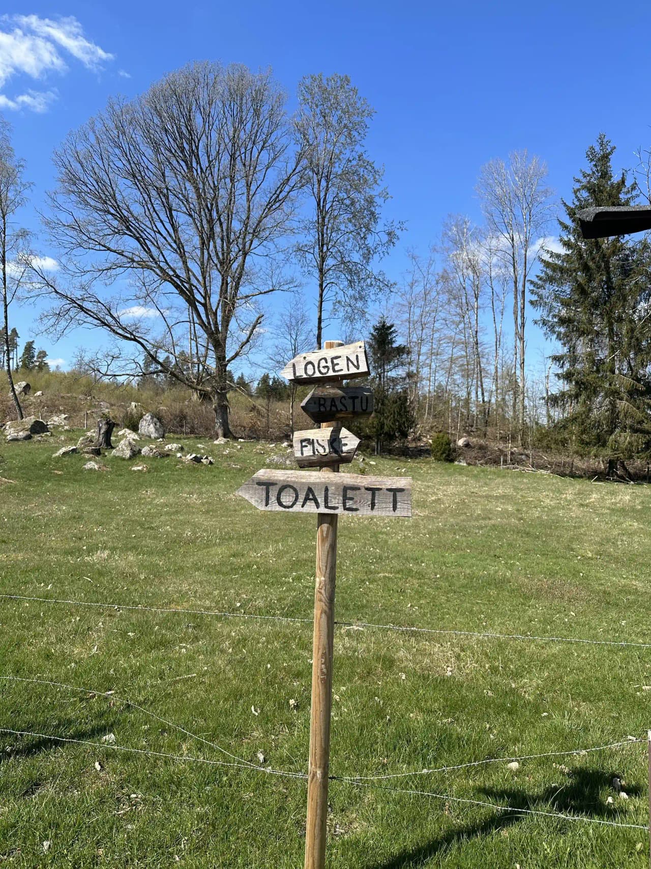 En grön äng med gräs och växter, en skylt syns i bakgrunden på Stjernkvist's Hunshult.