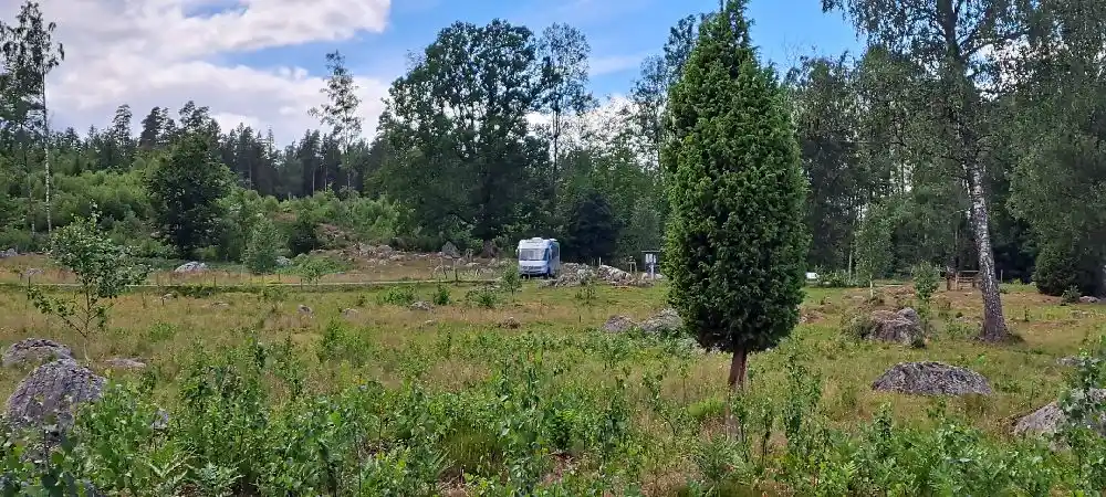 En grönskande landskapsbild med träd och buskar från olika arter, inklusive barrträd som lärk och cypress. I förgrunden syns en äng, omgiven av en löv- och blandskog, typisk för tempererade klimat.