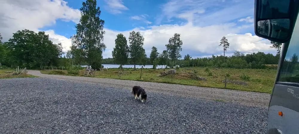En sport utility vehicle parkerad vid en grönskande skogsdunge, på väg mot Stjernkvist’s Hunshult, ett populärt resmål.