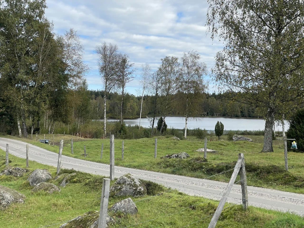 En lantlig vy över Stjernkvist’s Hunshult med gröna ängar och betesmarker, omgivna av städsegröna träd och en klarblå himmel med vita cumulusmoln.