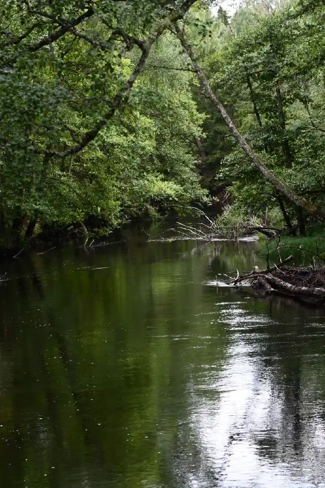 Upplev äventyr och ro vid Isaberg Mountain Resort—naturens lekplats för hela familjen, året runt i Småland.