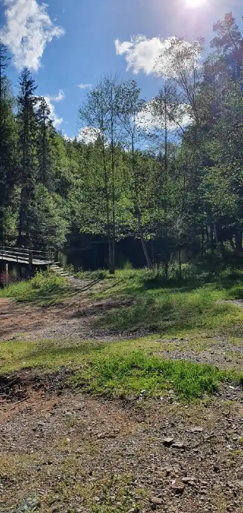 En grönskande campingplats omgiven av träd och naturens lugna skönhet.