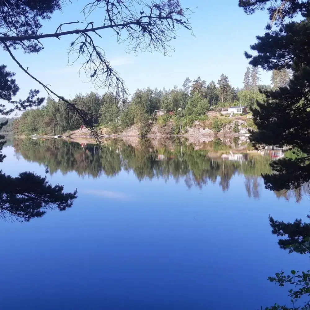 En idyllisk sjö vid Ragnerudssjöns camping och stugby, med blå himmel, stilla vatten och omgivande träd längs strandkanten.