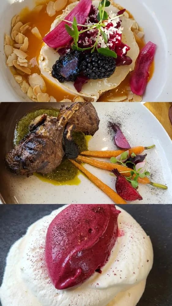 En tallrik med en vackert upplagd dessert prydd med färska frukter och delikata garneringar, placerad på ett elegant dukat bord på Granö Beckasin.