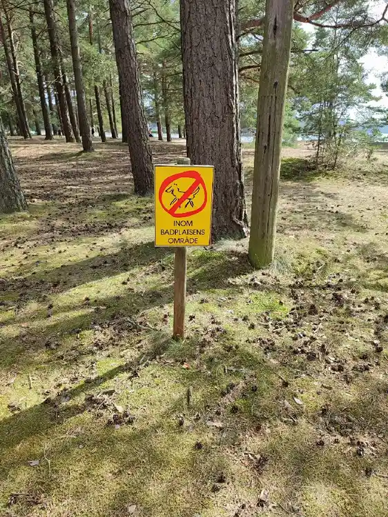 Äventyr och avkoppling vid Vätterns strand: Harge Bad & Camping välkomnar dig till en oförglömlig semester. Boka nu!