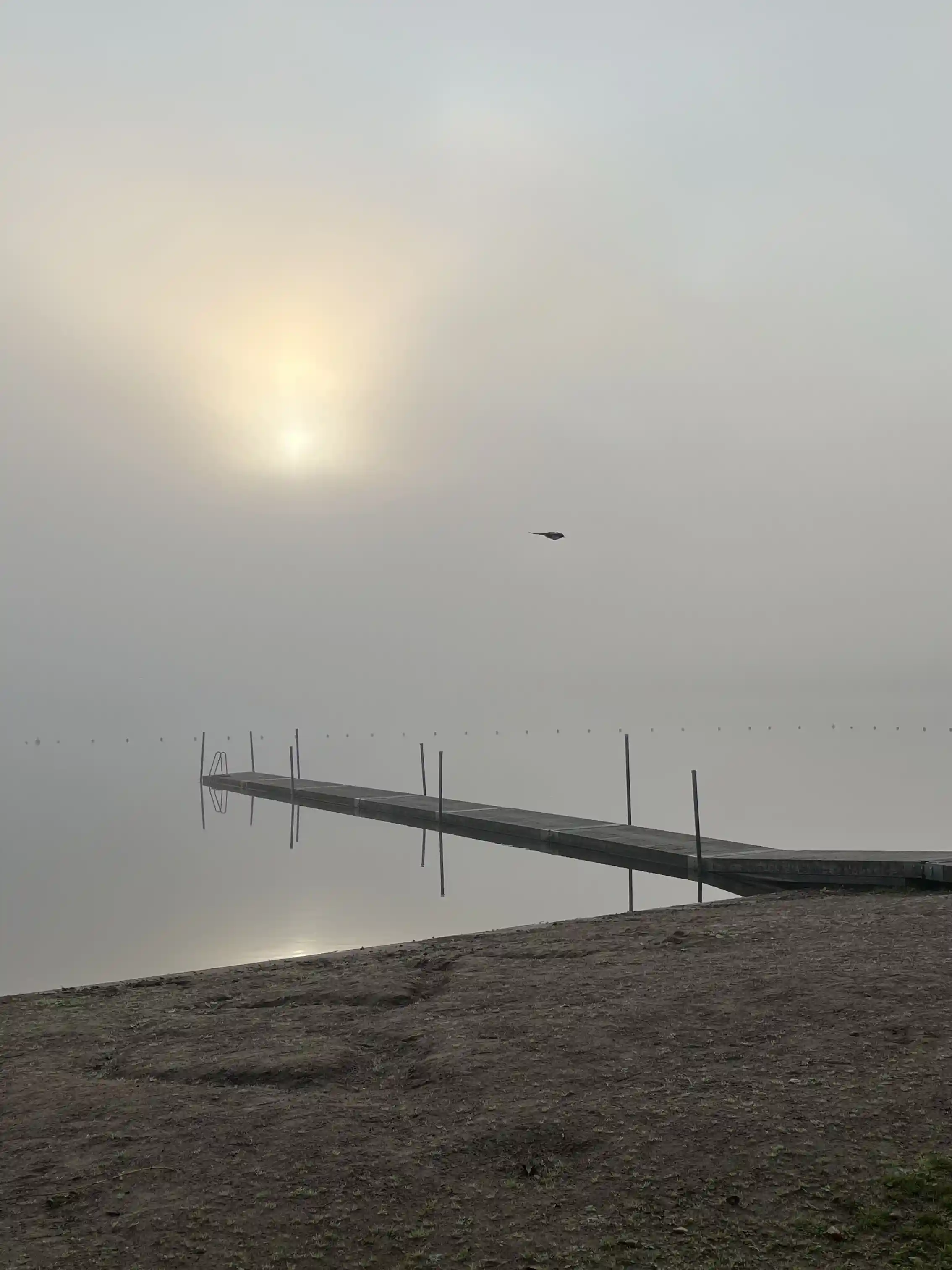 En stämningsfull kvällsvy över en kustlinje vid Öjaby Camping. Havet breder ut sig mot horisonten under en färgrik himmel, där mjuka vindar rör upp små vågor mot stranden.