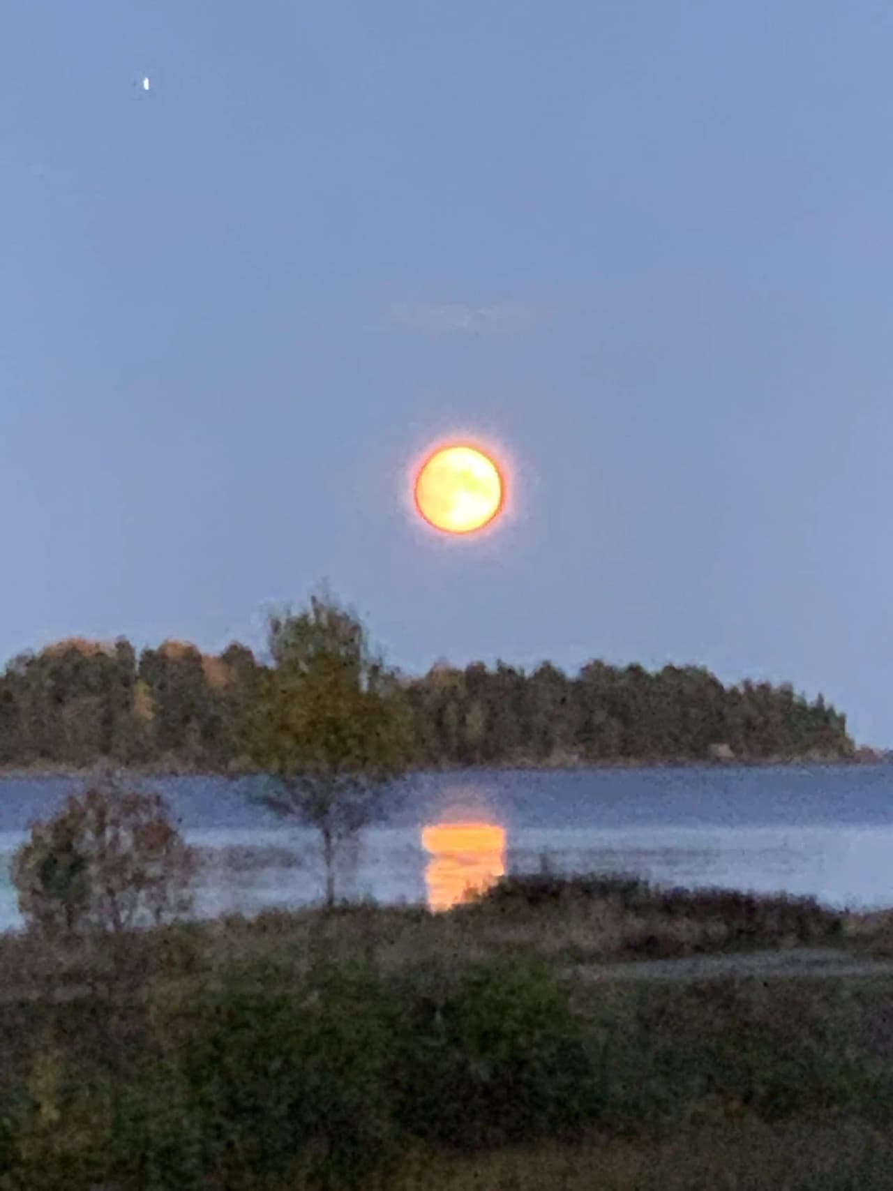 En solig dag vid Ljusnefors camping, med en klarblå himmel och en glittrande sjö omgiven av grönska längs horisonten.