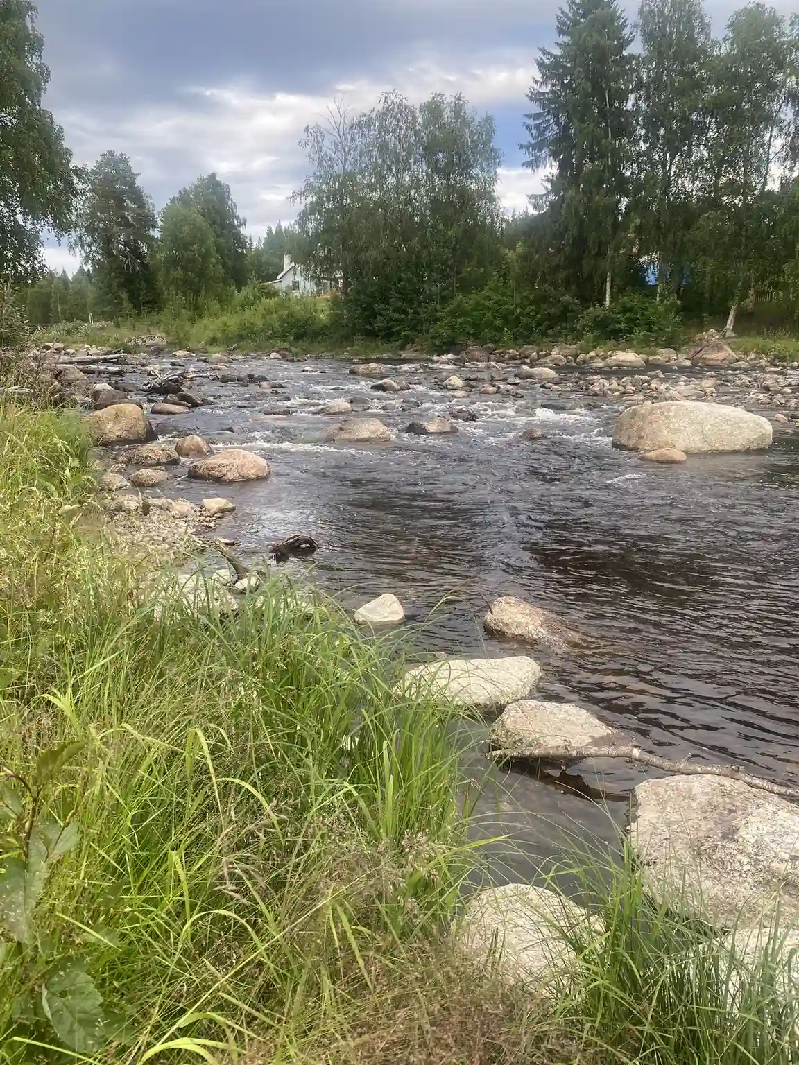 En bild av en naturskön plats vid Åmsele Camping, där en bäck slingrar sig genom landskapet omgiven av gröna växter och stenar. Moln svävar på himlen ovanför den flodliknande formationen.