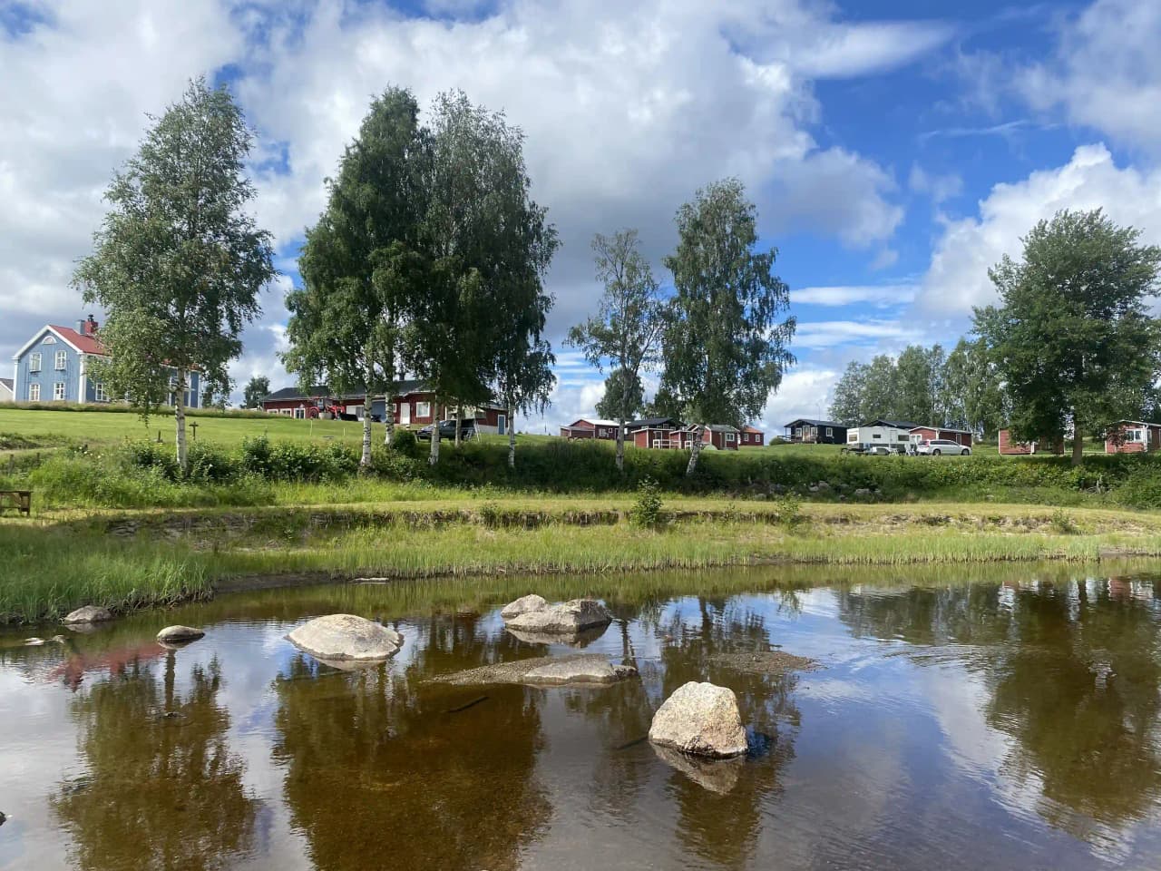 En naturskön landskapsbild vid Åmsele camping, med grönskande gräs och växter i förgrunden, en glittrande sjö med strandkant och omgivande landsbygd samt molnig himmel i bakgrunden.