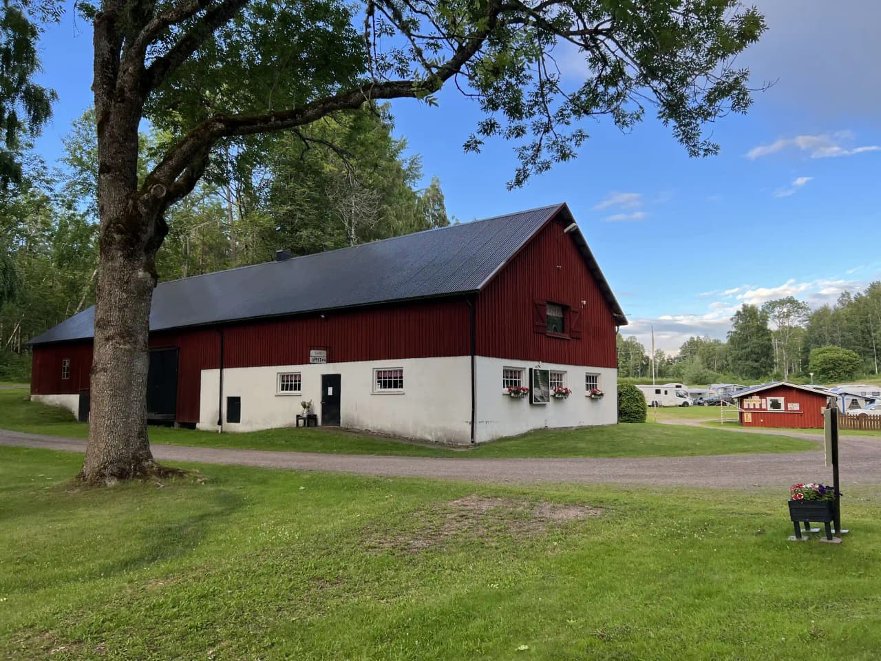 En gräsklädd campingplats med barn som leker i skuggan nära en enkel bod. I bakgrunden syns vidsträckta ängar och träd, vilket ger platsen en lantlig och fridfull atmosfär.